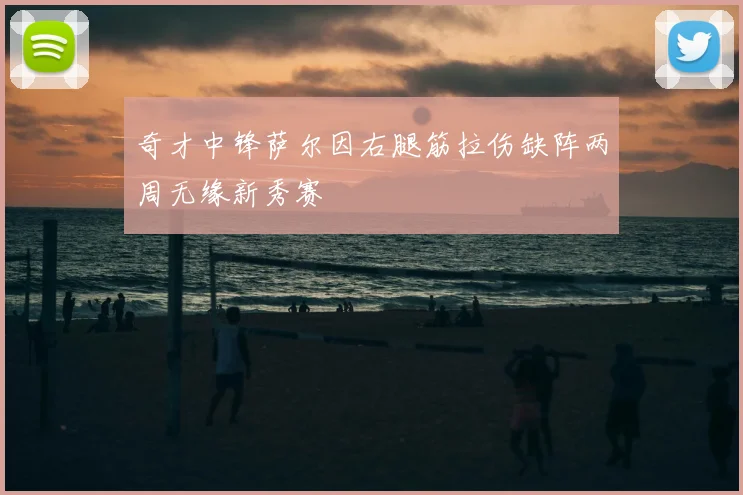 奇才中锋萨尔因右腿筋拉伤缺阵两周无缘新秀赛