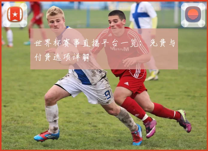 世界杯赛事直播平台一览:免费与付费选项详解