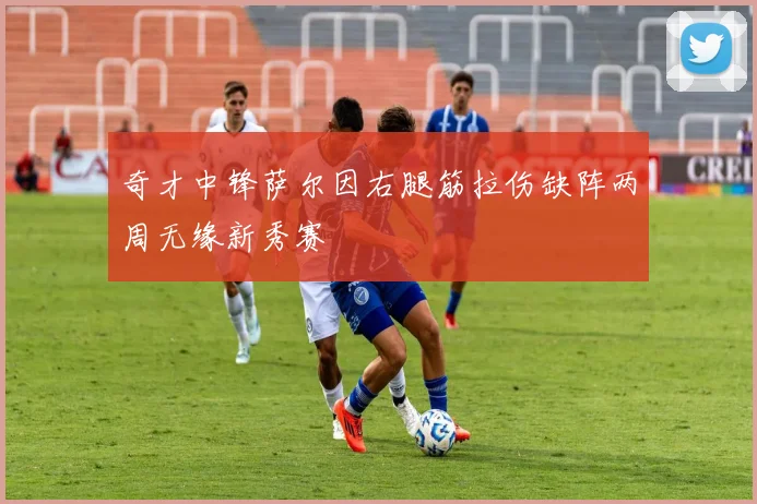 奇才中锋萨尔因右腿筋拉伤缺阵两周无缘新秀赛