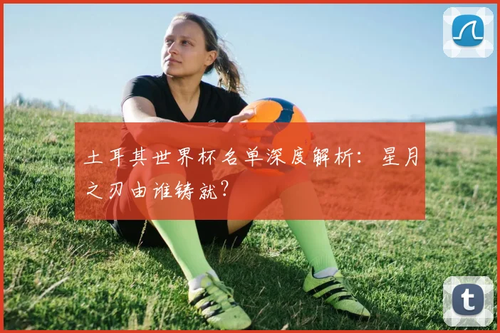 土耳其世界杯名单深度解析:星月之刃由谁铸就?