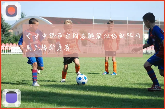 奇才中锋萨尔因右腿筋拉伤缺阵两周无缘新秀赛