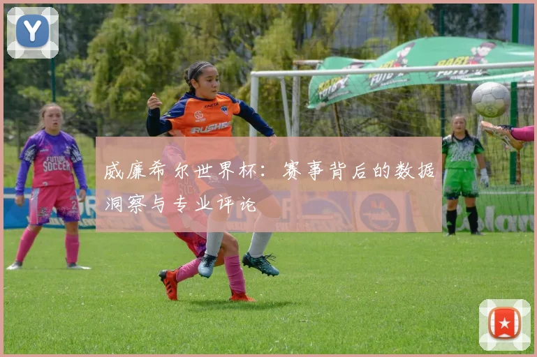 威廉希尔世界杯:赛事背后的数据洞察与专业评论