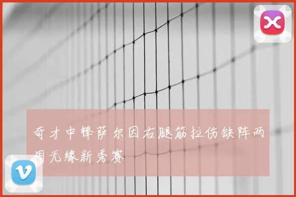 奇才中锋萨尔因右腿筋拉伤缺阵两周无缘新秀赛