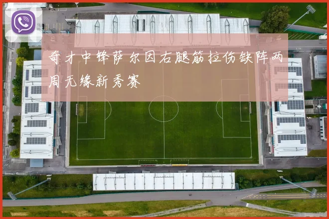 奇才中锋萨尔因右腿筋拉伤缺阵两周无缘新秀赛