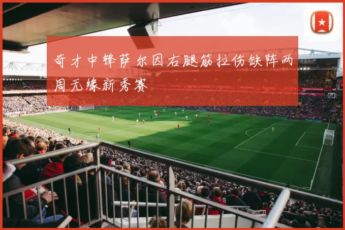 奇才中锋萨尔因右腿筋拉伤缺阵两周无缘新秀赛