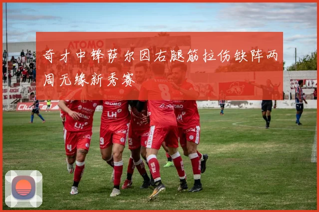 奇才中锋萨尔因右腿筋拉伤缺阵两周无缘新秀赛