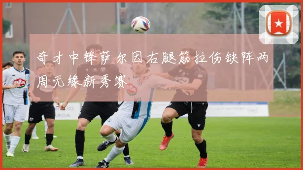 奇才中锋萨尔因右腿筋拉伤缺阵两周无缘新秀赛