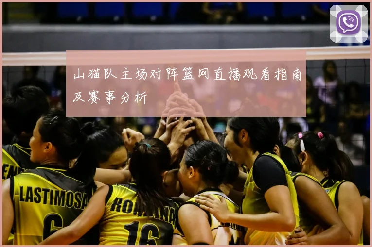 山猫队主场对阵篮网直播观看指南及赛事分析