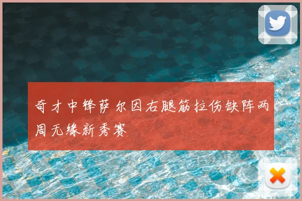 奇才中锋萨尔因右腿筋拉伤缺阵两周无缘新秀赛