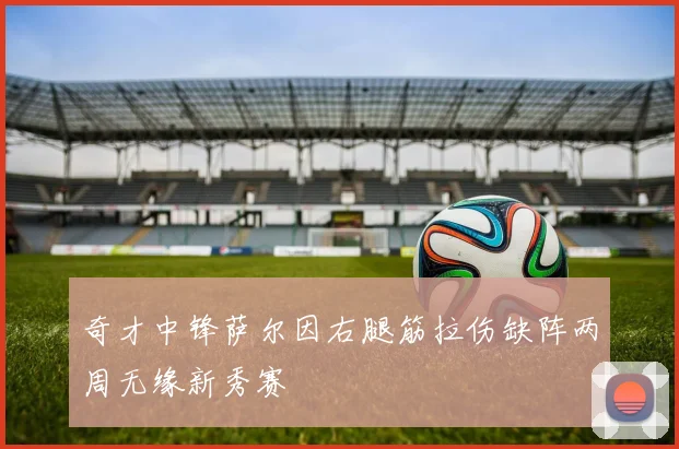 奇才中锋萨尔因右腿筋拉伤缺阵两周无缘新秀赛