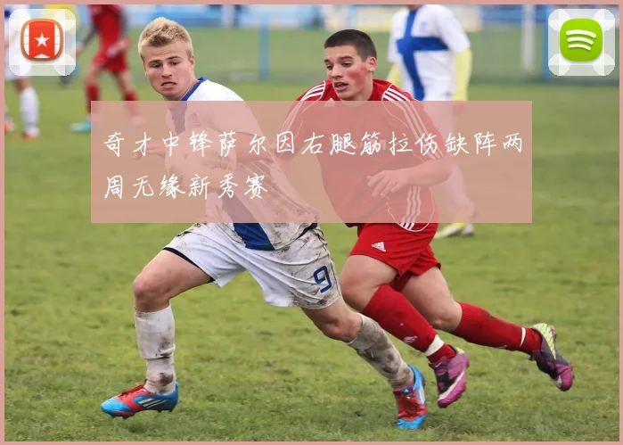 奇才中锋萨尔因右腿筋拉伤缺阵两周无缘新秀赛