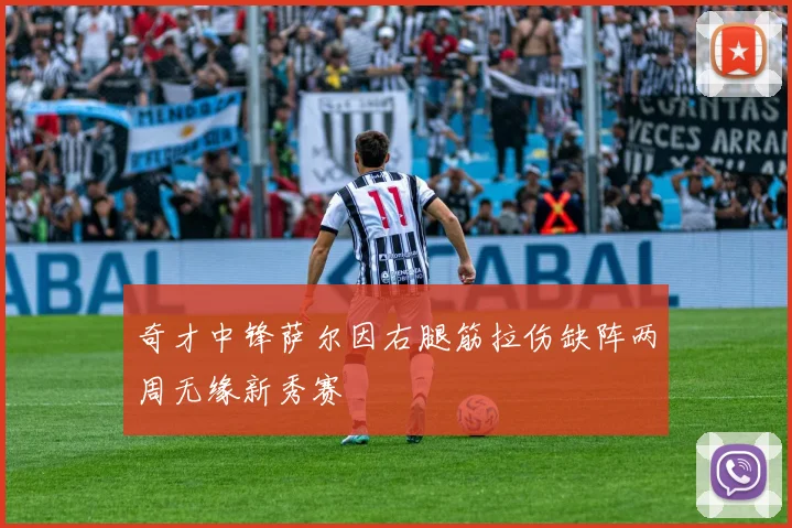 奇才中锋萨尔因右腿筋拉伤缺阵两周无缘新秀赛