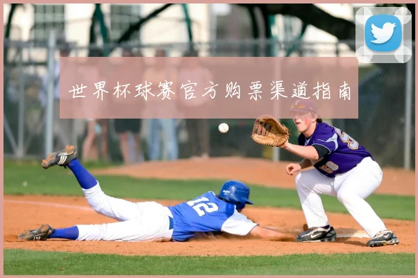 世界杯球赛官方购票渠道指南