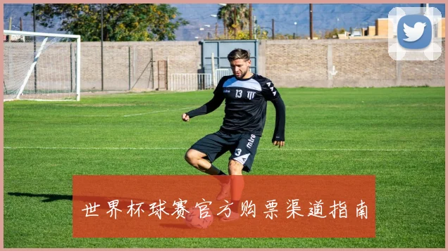 世界杯球赛官方购票渠道指南