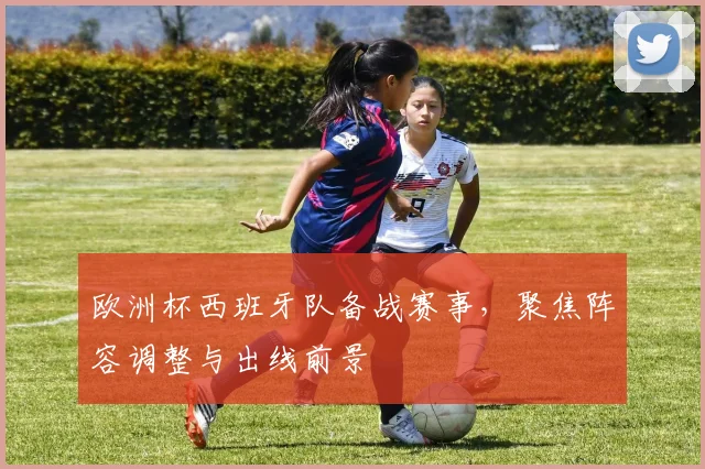 欧洲杯西班牙队备战赛事,聚焦阵容调整与出线前景