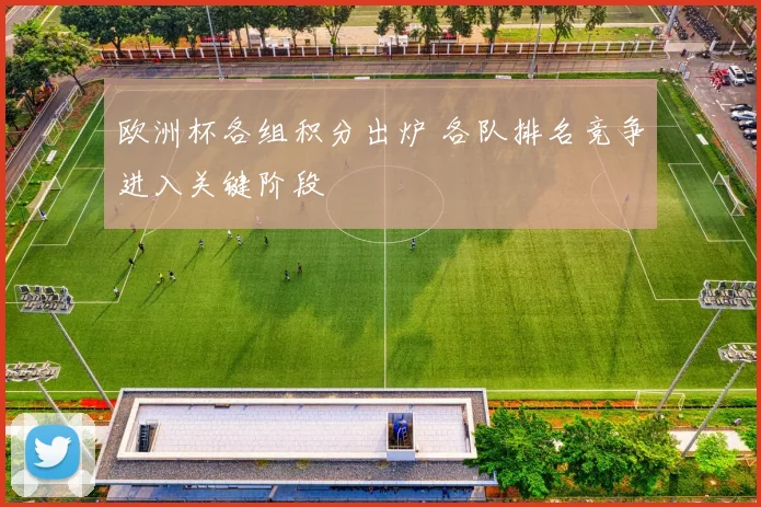 欧洲杯各组积分出炉 各队排名竞争进入关键阶段