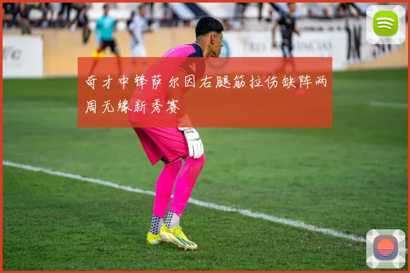 奇才中锋萨尔因右腿筋拉伤缺阵两周无缘新秀赛