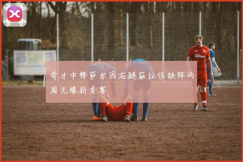 奇才中锋萨尔因右腿筋拉伤缺阵两周无缘新秀赛