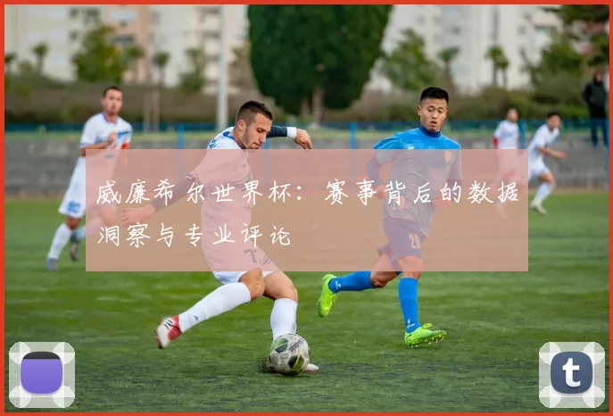 威廉希尔世界杯:赛事背后的数据洞察与专业评论