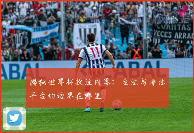 揭秘世界杯投注内幕:合法与非法平台的边界在哪里