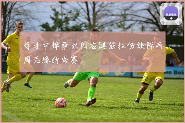 奇才中锋萨尔因右腿筋拉伤缺阵两周无缘新秀赛