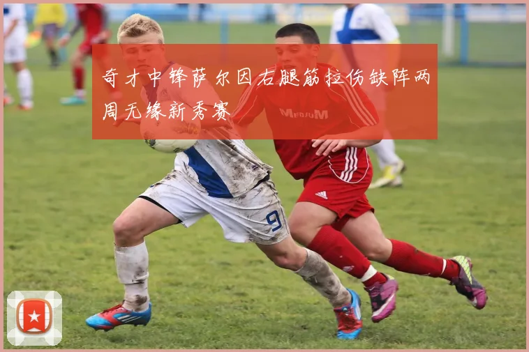 奇才中锋萨尔因右腿筋拉伤缺阵两周无缘新秀赛
