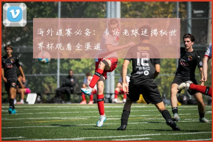 海外追赛必备:专访老球迷揭秘世界杯观看全渠道