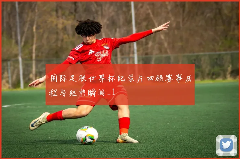 国际足联世界杯纪录片回顾赛事历程与经典瞬间_1