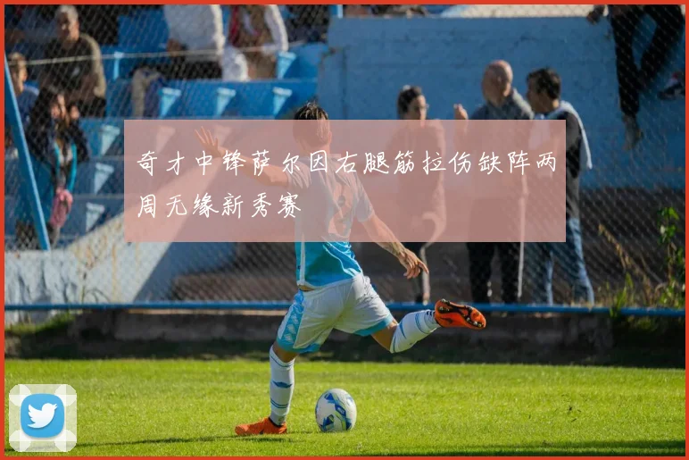 奇才中锋萨尔因右腿筋拉伤缺阵两周无缘新秀赛