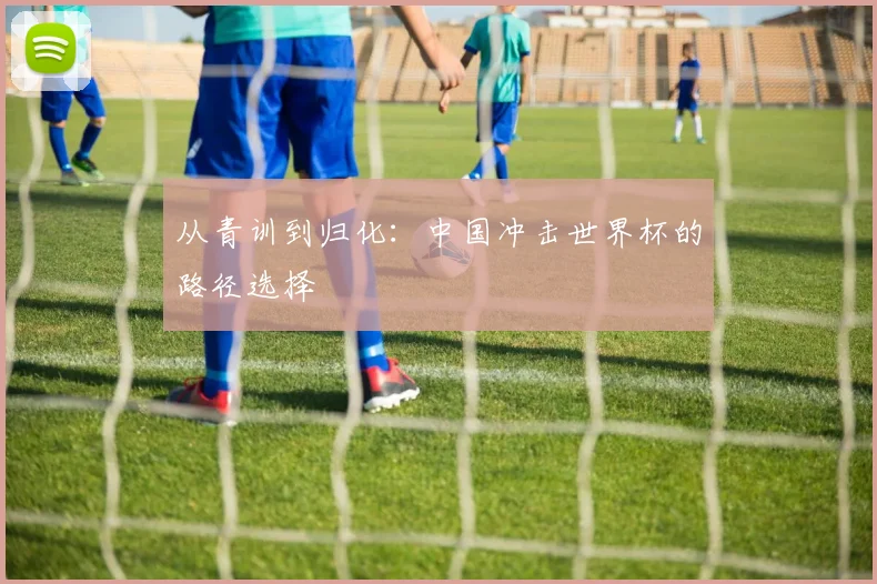 从青训到归化:中国冲击世界杯的路径选择