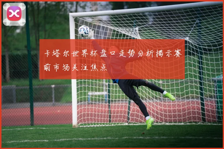 卡塔尔世界杯盘口走势分析揭示赛前市场关注焦点