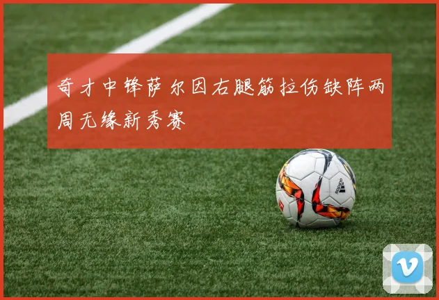 奇才中锋萨尔因右腿筋拉伤缺阵两周无缘新秀赛