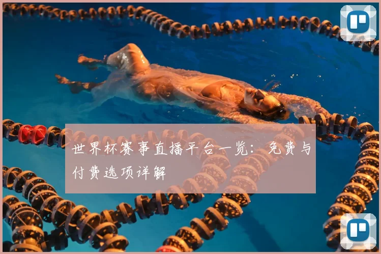 世界杯赛事直播平台一览:免费与付费选项详解