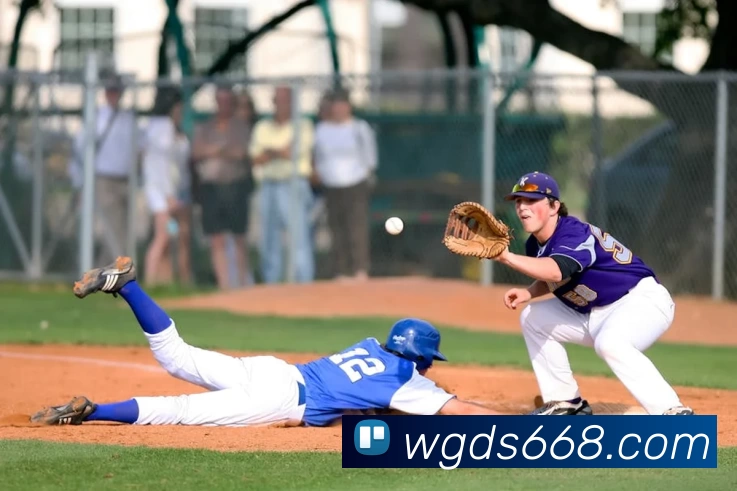 华体官方版网站平台生态图