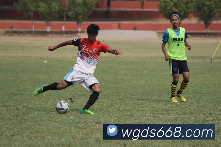 华体官方版网站全站App